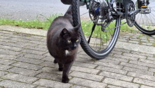 Radtour